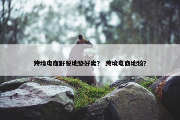 跨境电商野餐地垫好卖？ 跨境电商地毯？