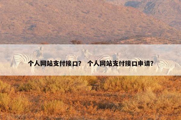 个人网站支付接口？ 个人网站支付接口申请？