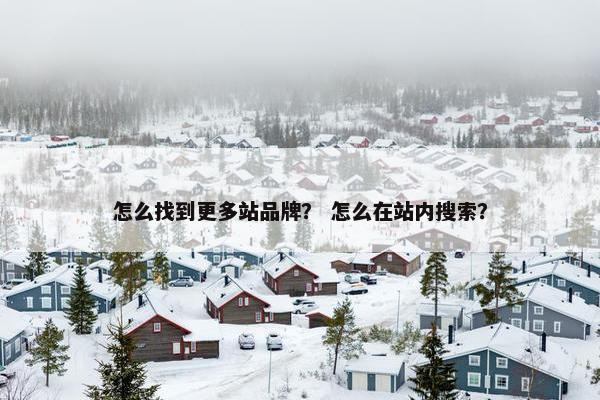 怎么找到更多站品牌？ 怎么在站内搜索？