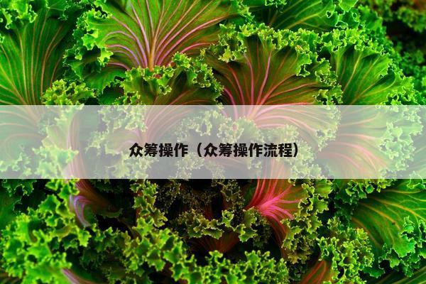 众筹操作（众筹操作流程）