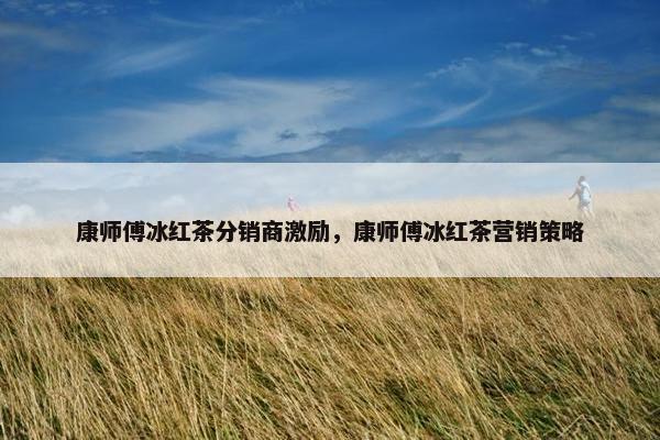 康师傅冰红茶分销商激励，康师傅冰红茶营销策略