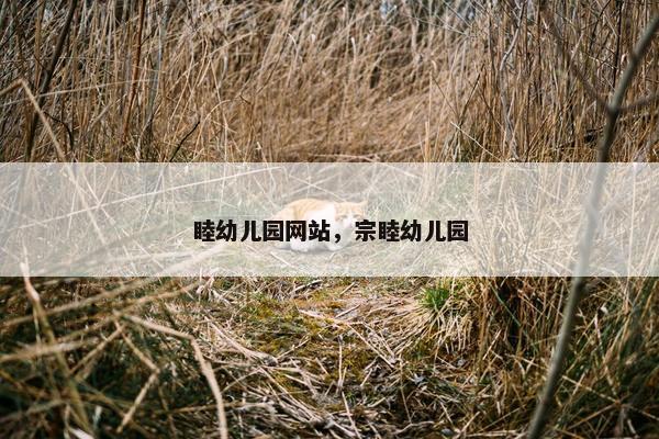 睦幼儿园网站，宗睦幼儿园