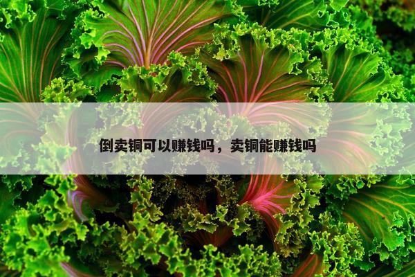 倒卖铜可以赚钱吗，卖铜能赚钱吗