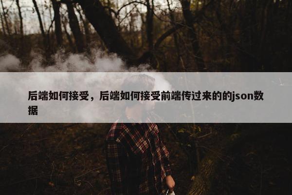 后端如何接受，后端如何接受前端传过来的的json数据