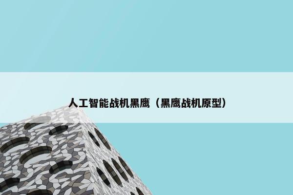 人工智能战机黑鹰（黑鹰战机原型）
