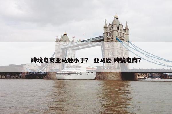 跨境电商亚马逊小丁？ 亚马逊 跨镜电商？