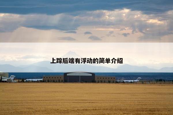 上踪后端有浮动的简单介绍