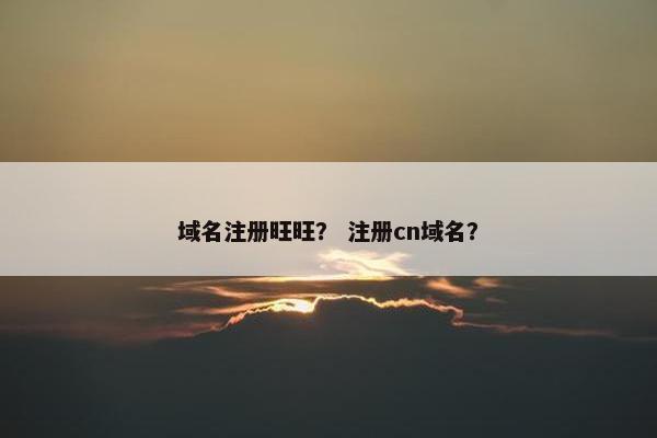 域名注册旺旺？ 注册cn域名？