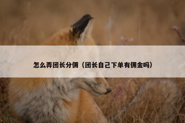 怎么弄团长分佣（团长自己下单有佣金吗）