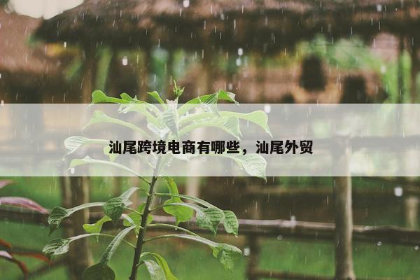 汕尾跨境电商有哪些，汕尾外贸