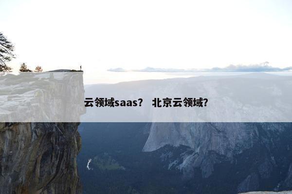 云领域saas？ 北京云领域？