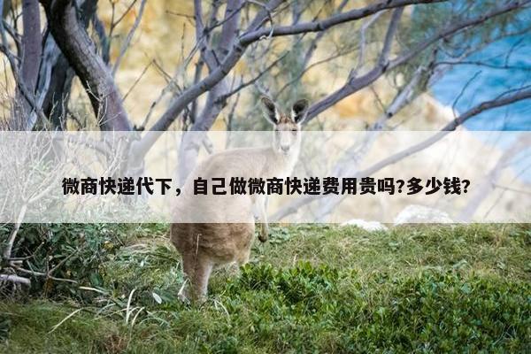 微商快递代下，自己做微商快递费用贵吗?多少钱?