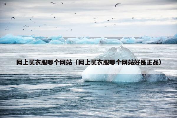网上买衣服哪个网站（网上买衣服哪个网站好是正品）