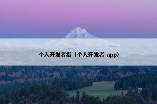 个人开发者指（个人开发者 app）