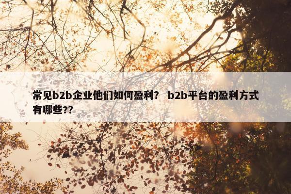 常见b2b企业他们如何盈利？ b2b平台的盈利方式有哪些?？