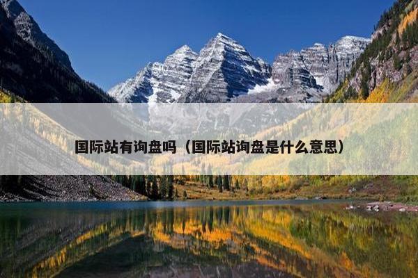 国际站有询盘吗（国际站询盘是什么意思）