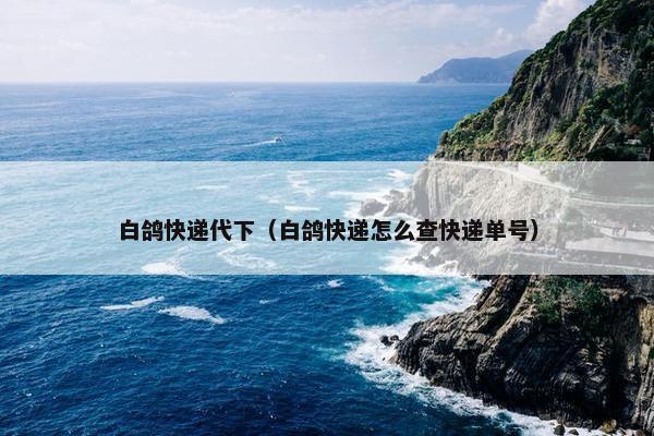 白鸽快递代下（白鸽快递怎么查快递单号）
