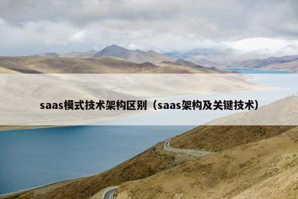 saas模式技术架构区别（saas架构及关键技术）