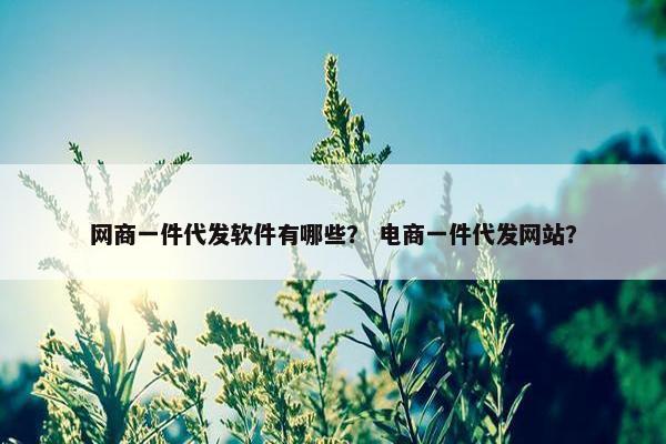 网商一件代发软件有哪些？ 电商一件代发网站？