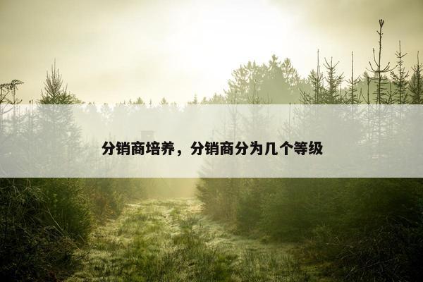 分销商培养，分销商分为几个等级