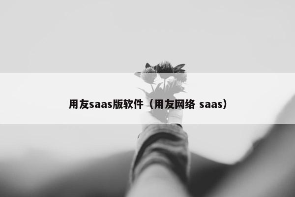 用友saas版软件（用友网络 saas）