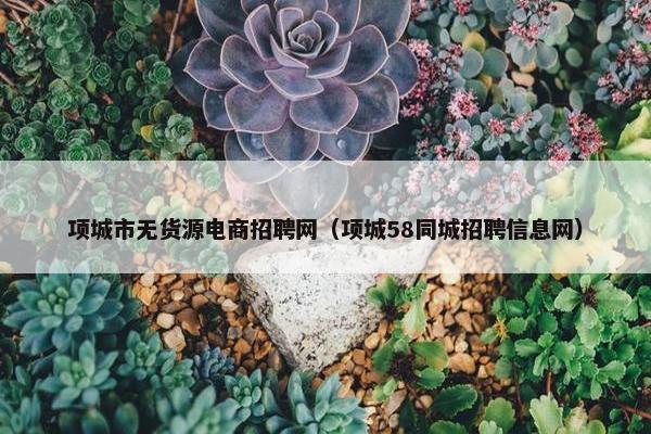 项城市无货源电商招聘网（项城58同城招聘信息网）