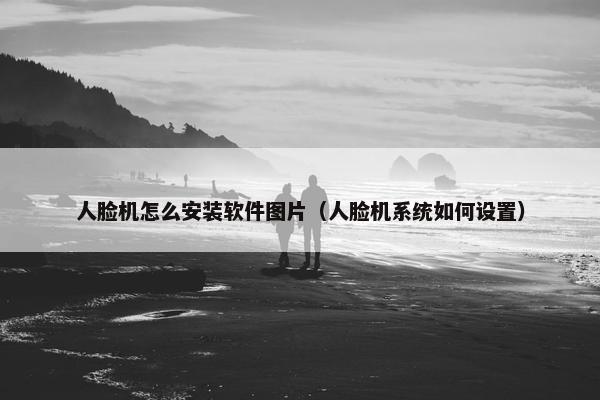 人脸机怎么安装软件图片（人脸机系统如何设置）