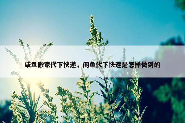 咸鱼搬家代下快递，闲鱼代下快递是怎样做到的