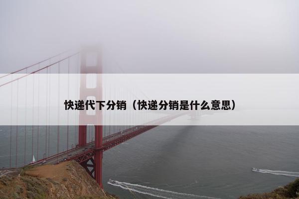 快递代下分销（快递分销是什么意思）
