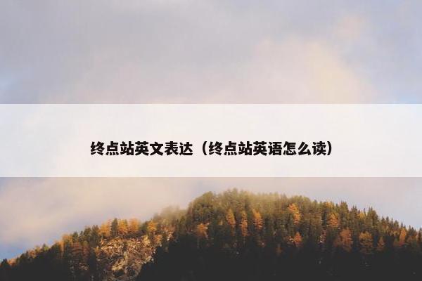 终点站英文表达（终点站英语怎么读）