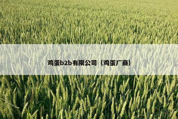 鸡蛋b2b有限公司（鸡蛋厂商）