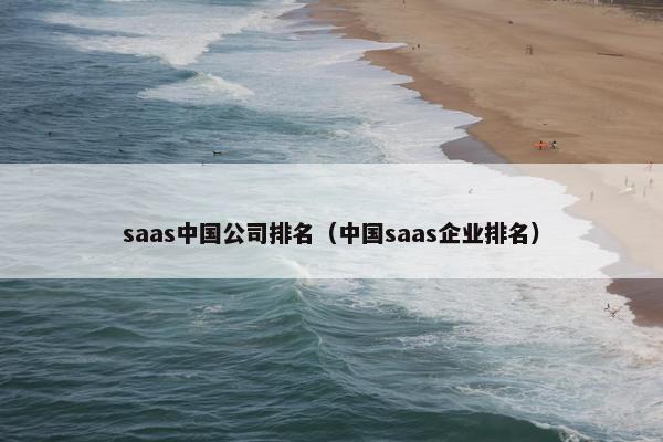 saas中国公司排名（中国saas企业排名）