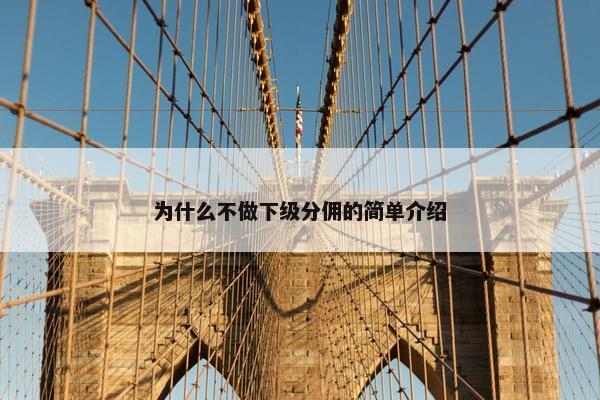 为什么不做下级分佣的简单介绍
