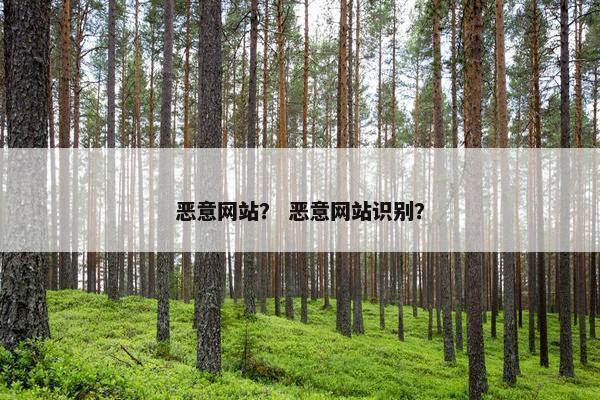 恶意网站？ 恶意网站识别？