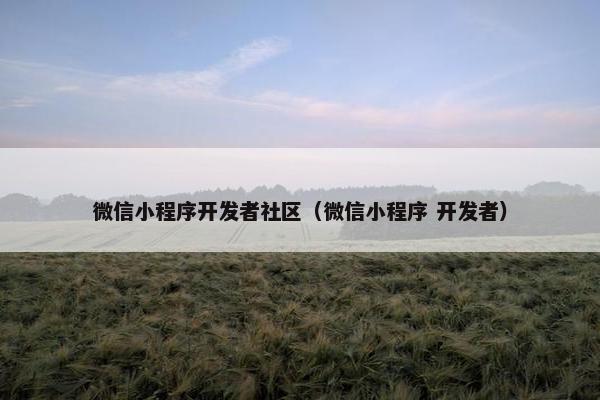 微信小程序开发者社区（微信小程序 开发者）