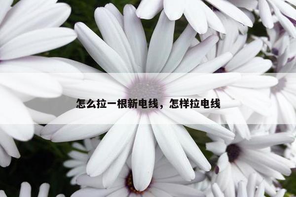怎么拉一根新电线，怎样拉电线