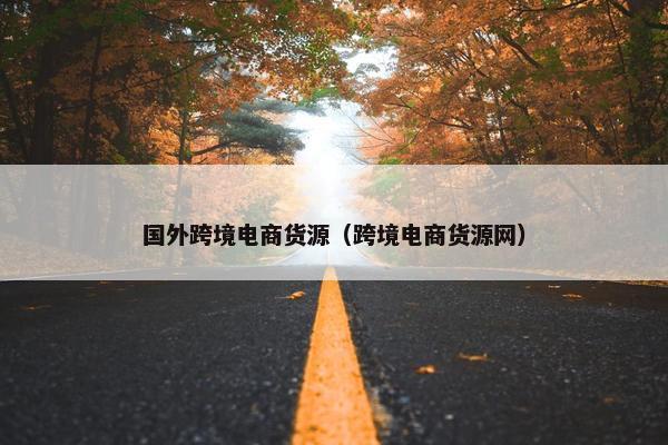 国外跨境电商货源（跨境电商货源网）