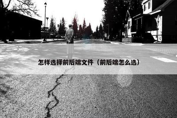 怎样选择前后端文件（前后端怎么选）