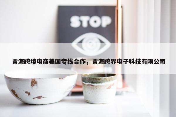 青海跨境电商美国专线合作，青海跨界电子科技有限公司