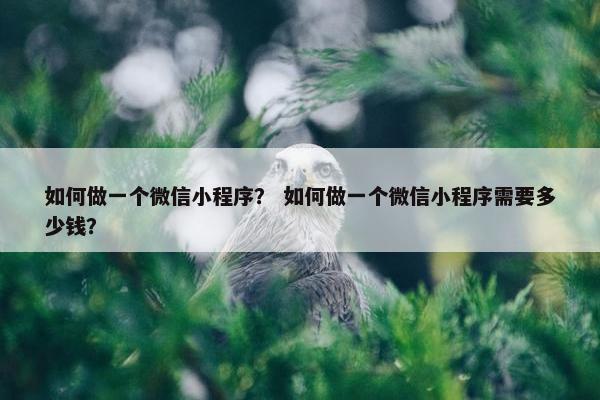如何做一个微信小程序？ 如何做一个微信小程序需要多少钱？