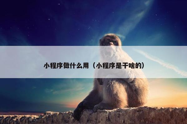 小程序做什么用（小程序是干啥的）