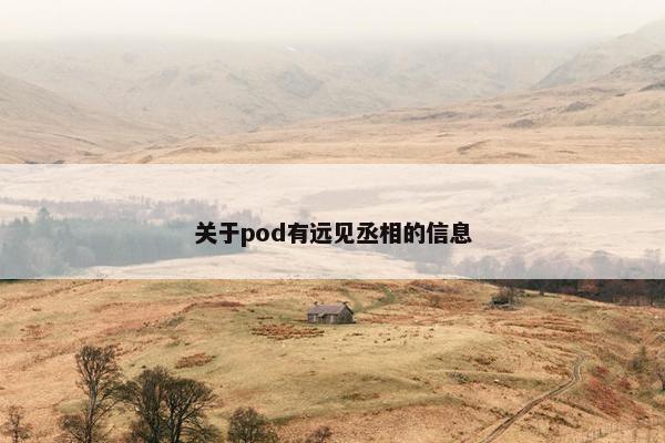 关于pod有远见丞相的信息