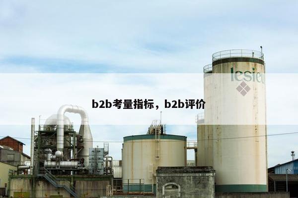 b2b考量指标，b2b评价