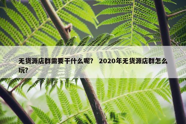 无货源店群需要干什么呢？ 2020年无货源店群怎么玩？