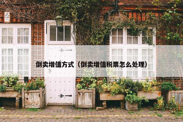 倒卖增值方式（倒卖增值税票怎么处理）