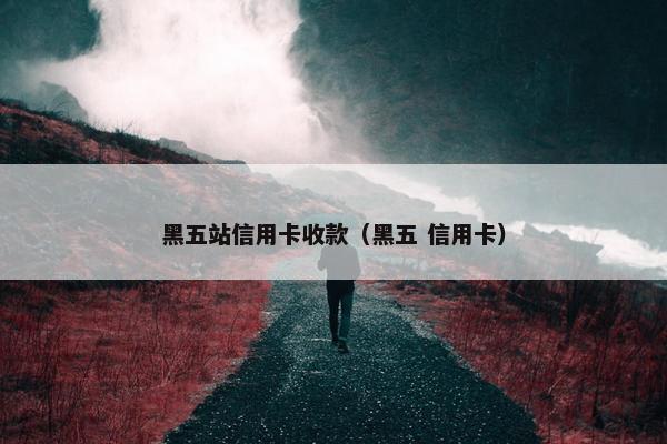 黑五站信用卡收款（黑五 信用卡）