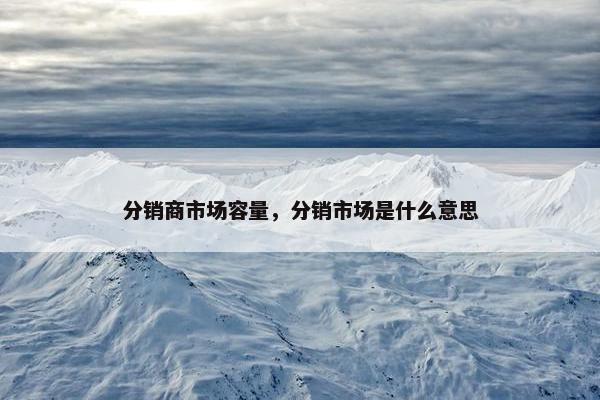 分销商市场容量，分销市场是什么意思