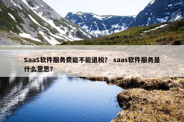 SaaS软件服务费能不能退税？ saas软件服务是什么意思？