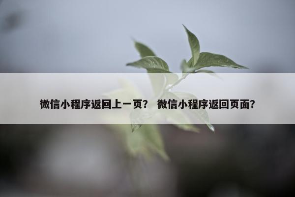 微信小程序返回上一页？ 微信小程序返回页面？