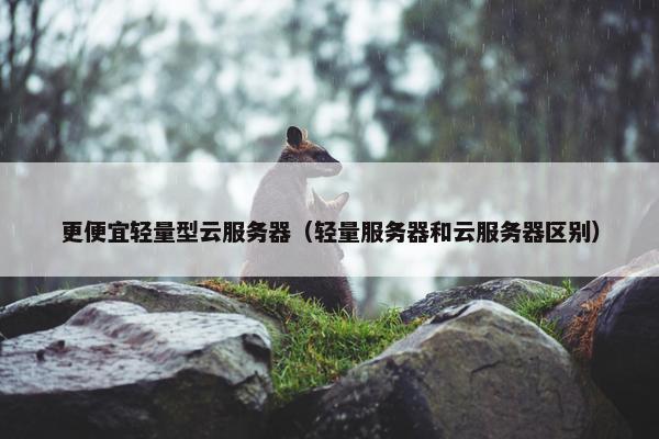 更便宜轻量型云服务器（轻量服务器和云服务器区别）